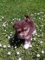 /album/nasi-pacienti/fotografie0980-1-jpeg/