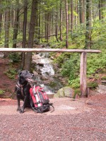 /album/nasi-pacienti/p1530794-jpg1/